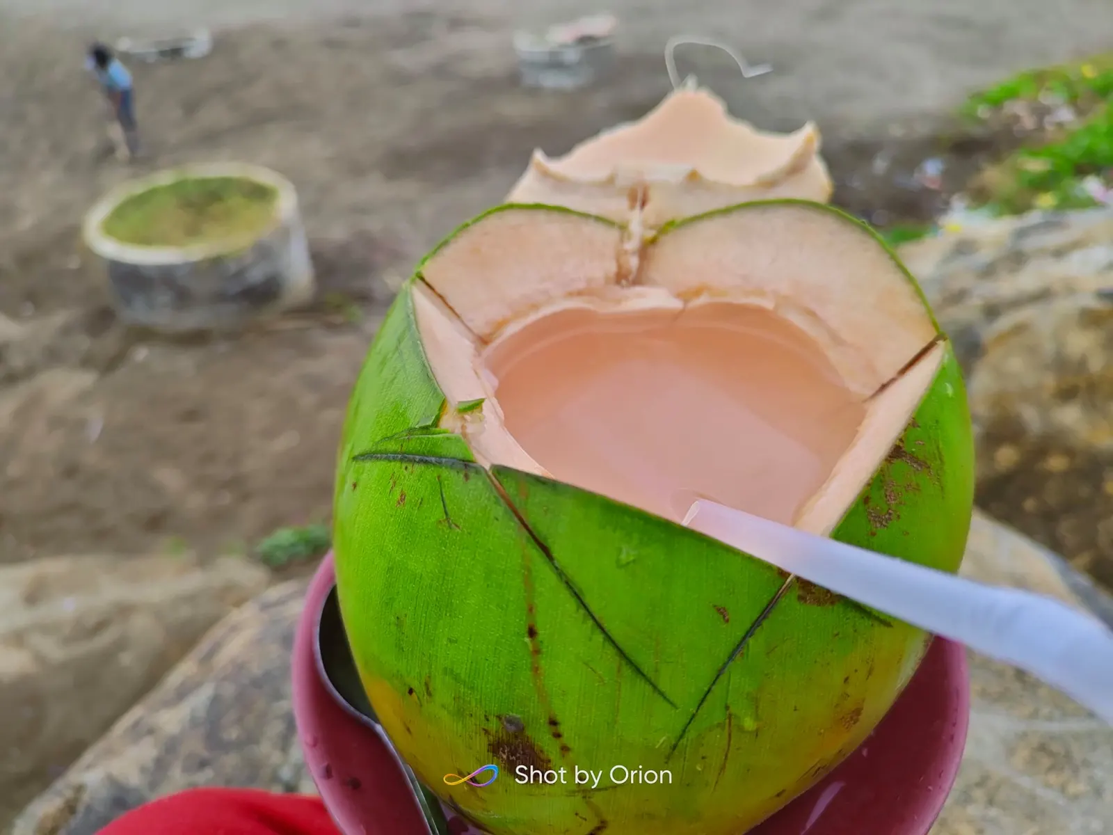 Bertemu “PREMAN” Insyaf, Jual Kelapa Muda