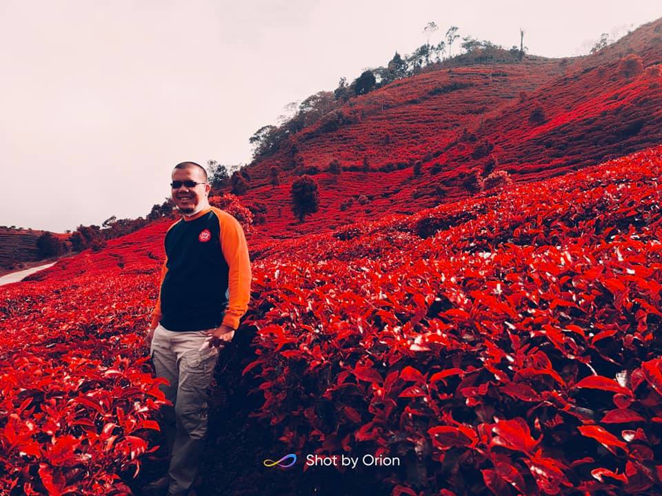 Kebun Teh Alahan Panjang, Pesonanya Yang Memanjakan Jiwa